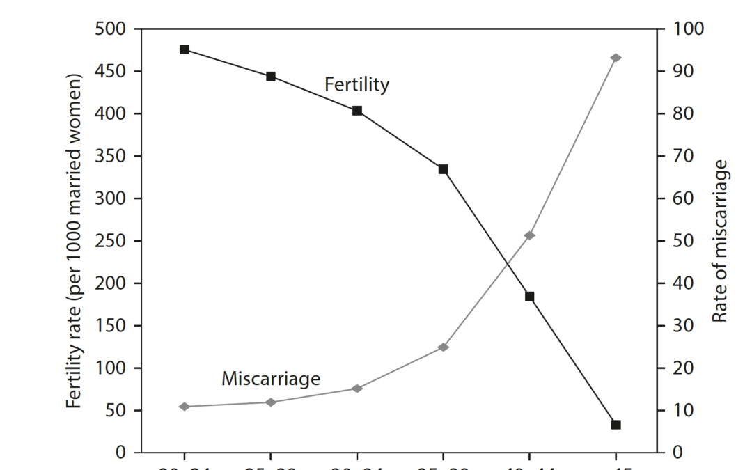 The biological clock, female fertility decline